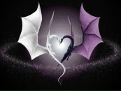 Фотография Старковой Дарьи