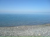 Фотография Авдеевой Анны