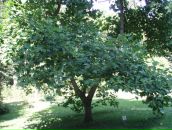 Ігор Носалюк фотография #39 (источник - https://vk.com/id33754899)