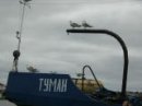 Нина Кращенко фотография #40 (источник - https://vk.com/id2643436)