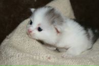 Фотография Маркиной Екатерины