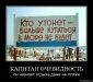  фотография #36
