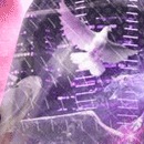 Міша Тяско фотография #48 (источник - https://vk.com/id103166343)