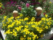 Іруська Ждан фотография #11 (источник - https://vk.com/id37734691)