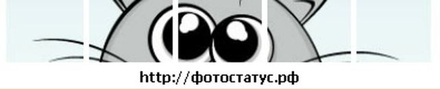 Саша Кізун фотография #2 (источник - https://vk.com/id33023355)