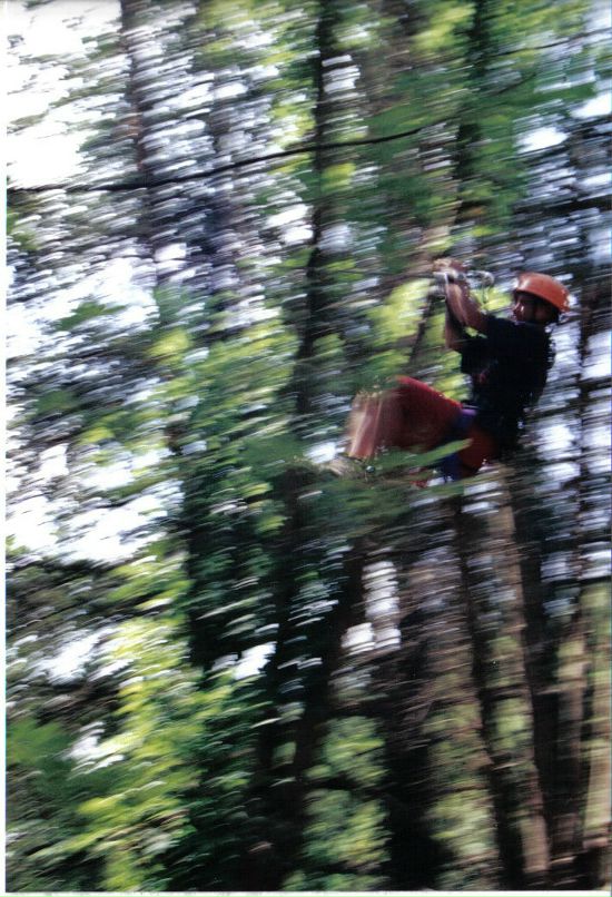 Aghent Max фотография #17