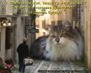 Фотография Безденежных Ирины