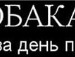 [♥ღ♥давай * фотография #4 (источник - https://vk.com/id136765042)