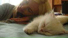 Фотография Шевченко Елены