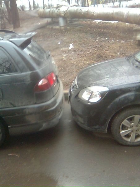 Дмитрий О фото №27