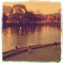 Виктор B фотография #18 (источник - https://vk.com/id1739100)