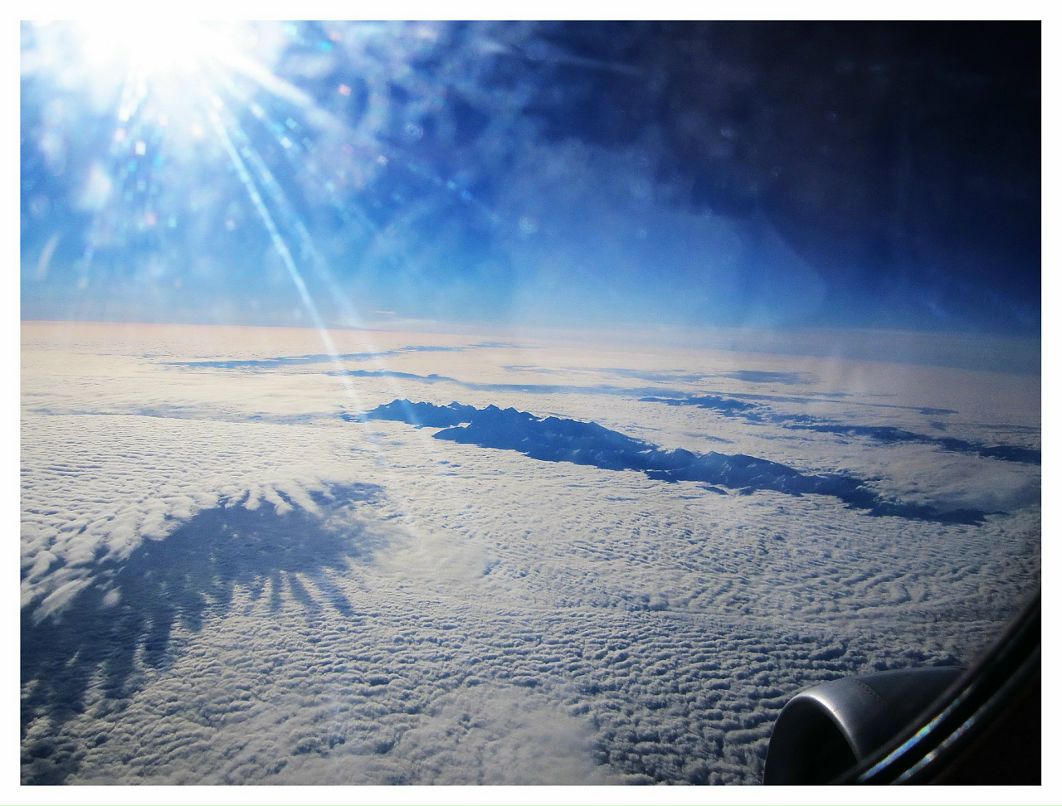 Яблоко Зеленое фотография #30