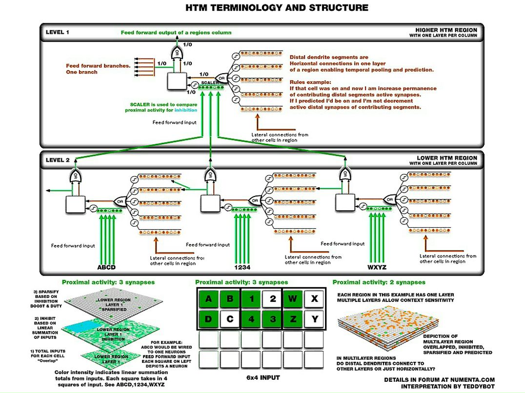 Дмитрий Сухоручкин фотография #15
