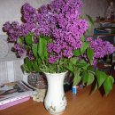 Фотография Васильевой Натальи