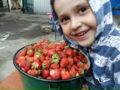 Іра Іськова фотография #11 (источник - https://vk.com/id65387727)