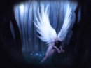 Fallen Angel фотография #4 (источник - https://vk.com/id19870463)