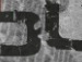 Андрій Бегійович фотография #38 (источник - https://vk.com/id143082120)