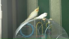 Христина Яремик фотография #48 (источник - https://vk.com/id15930973)