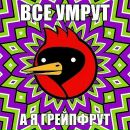 Фотография Смирнова Анастасия