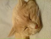 Андрій Давида фотография #23 (источник - https://vk.com/id10270199)