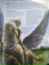 Scatur Cervina фотография #11 (источник - https://vk.com/id113406680)