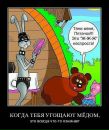 Фотография Сысолятина Михаила