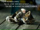 Фотография Каземировой Татьяны