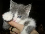 Ірчик Шкірчик фотография #42 (источник - https://vk.com/id20499234)