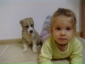 Фотография Илларионова Максима