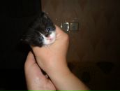 Фотография Султанахметовой Ксюши