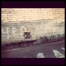 Фотография Ильяшенко Чеслава