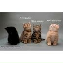 Фотография Иванова Антона