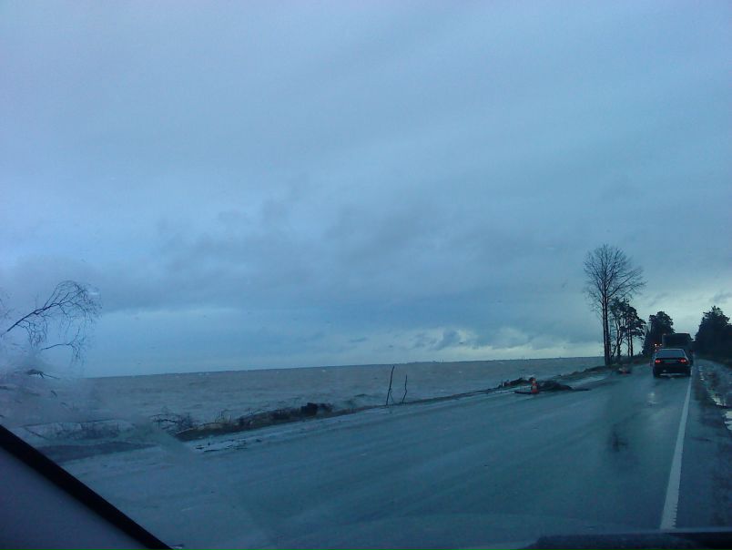 №9, Анна №9, Анна