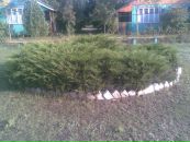 Діма Русавський фотография #18 (источник - https://vk.com/id36832376)