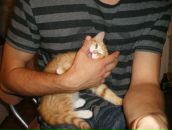 Фотография Тарновского Александра