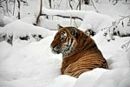 Фотография Влаладим Илиьин