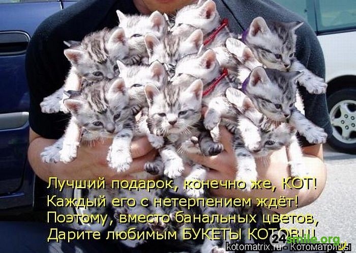 Ivan Vik фотография #20