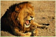 Макс Ларин фотография #5 (источник - https://vk.com/id87746846)