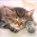 Марія Дурбак фотография #26 (источник - https://vk.com/id164141390)