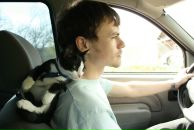 Фотография Мотасова Александра