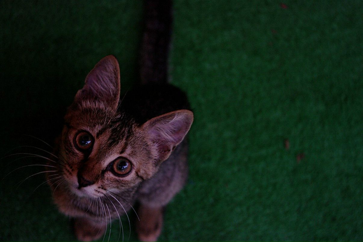 Иван Г фотография #32