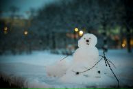 Фотография Savos'kina Daria