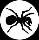 Фотография Радуги Джонни