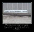 Назарій Яремчук фотография #25 (источник - https://vk.com/id16704367)