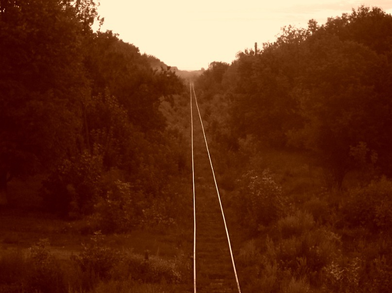 Тарас Бененко фотография #23