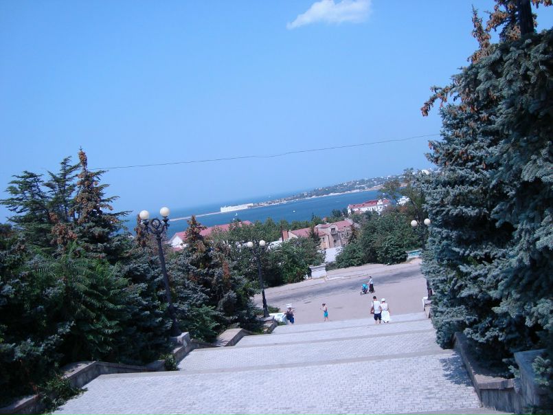 Дмитрий Шейнов фото №31