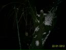 Марян Шимків фотография #13 (источник - https://vk.com/id154881623)