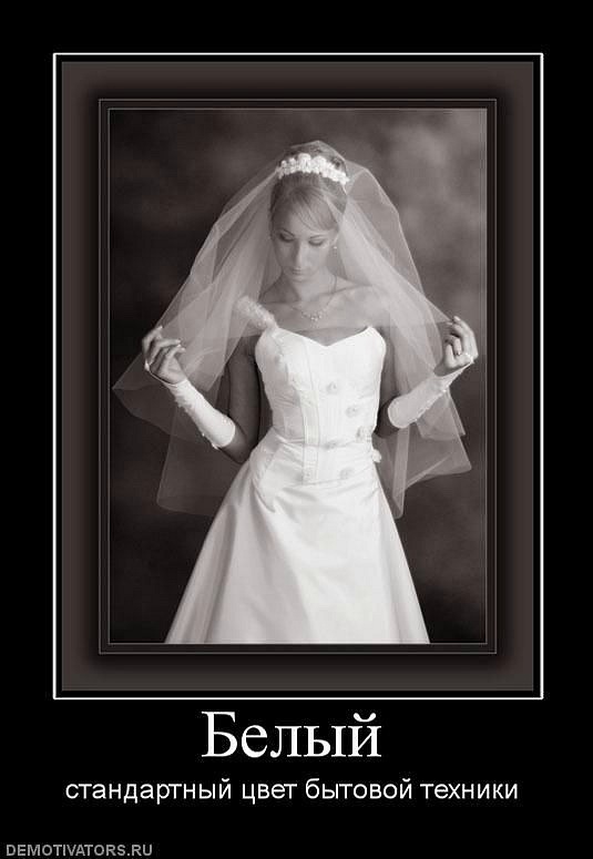 Night Witch фотография #1