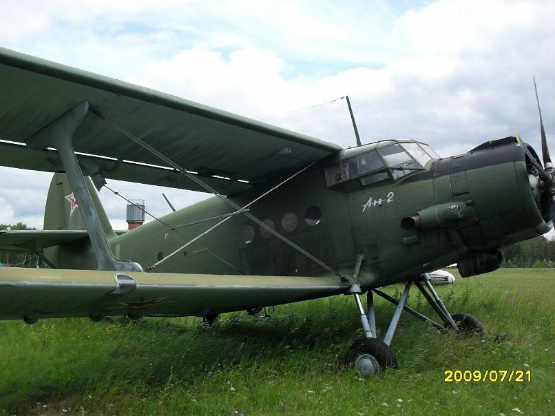 Миша Плотников фотография #38