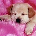 Вікторія Космина фотография #35 (источник - https://vk.com/id173596596)